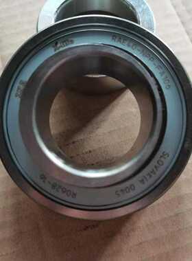 RAE40-NPP-FA106轴承 RAE50-NPP  RAE60-NPP RAE80-NPP