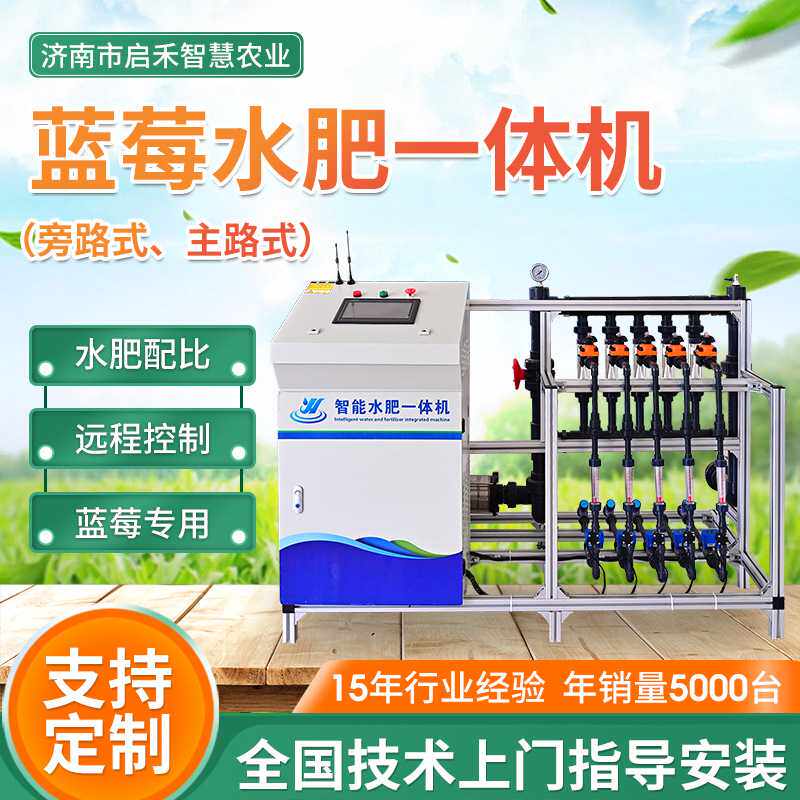 蓝莓草莓施肥灌溉一体设备全自动无土栽培智能水肥一体机多功能