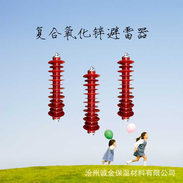 10-35KV户外高压氧化锌避雷器HY5WZ-17/45/50配电型电站型防雷器