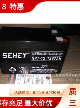 厂家 SEHEY西力蓄电西力12V38AHUPS电工业储能后备电源蓄电池