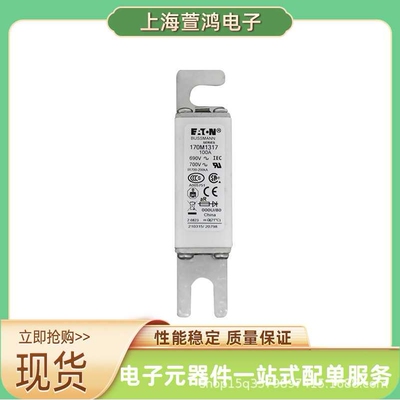 原厂170M5984 170M5985 170M5986 170M5987  高压熔断器直流熔芯