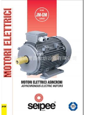 SEIPEE制动电机ZKF80B4/0.75KWB5 意大利SEIPEE马达