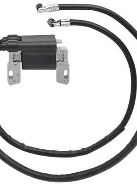 割草机Briggs & Stratton配件 394891 422707高压包点火线圈