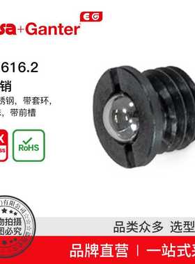 Elesa Ganter伊莉莎冈特 GN 616.2 弹簧销 钢制或不锈钢外壳