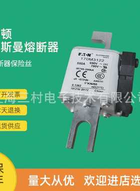 全新原装快速熔断器保险丝170M3159 170M3160 170M3161 170M3162