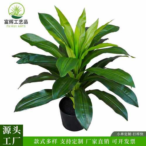 仿真巴西铁绿植高级感假植物造景PU材质门店橱窗酒店装饰假龙血树