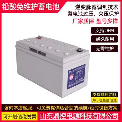 卧龙DengTa灯塔牌H12V440高功率铅酸蓄电池12V38AH实验室备用电源