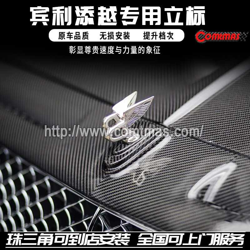 适用于旧老款宾利添越改装迈莎锐MS包围车标立标碳纤维中网框套件图片