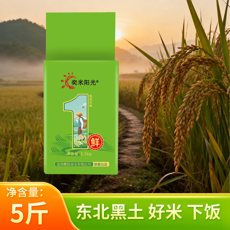 东北大米2.5kg2025新日期10斤珍珠米近期打磨1斤装真空包装粳米