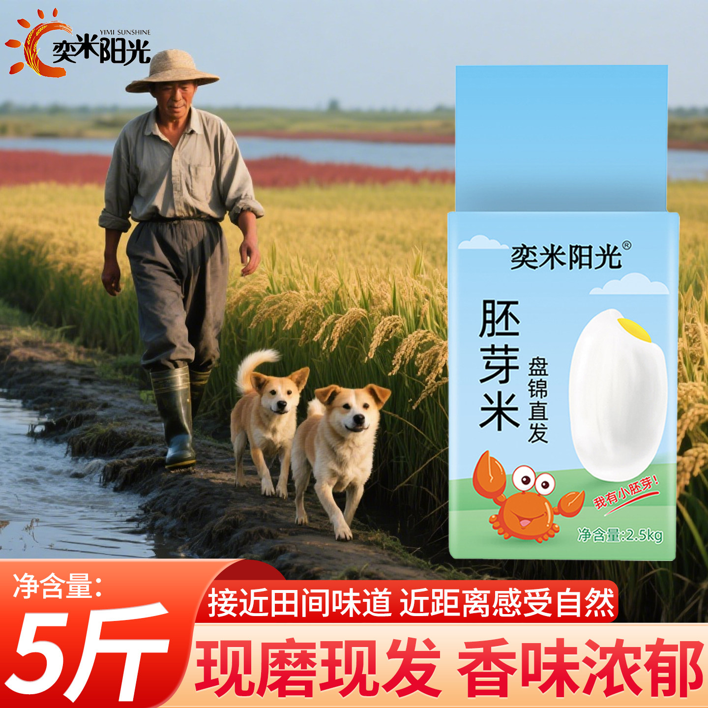 奕米阳光东北胚芽米5斤真空包装