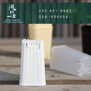 迷你多肉塑料花盆4.5口径控根高方托架整理浸水盘育苗播种植盆盘