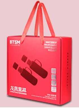 BTSM 白色 龙凤呈祥焖茶壶（对壶） BTCH-820L