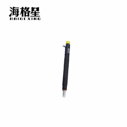 柴油共轨喷油器总成适用德尔福长城哈佛H5H6双龙江铃福特全顺