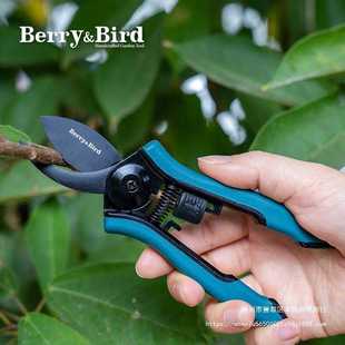 Berry&Bird花剪园艺剪刀花艺修枝剪叶家用园林花卉小盆栽果树