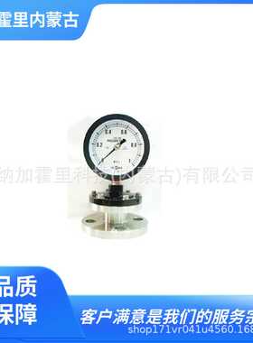 TOAKO东洋计器兴业 隔膜式压力计 D-NA形 D-NAf形 DF-NA形 DF-NA