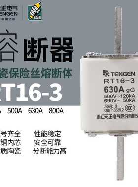 TENGEN天正 RT16-3方管刀形触头熔断器 NT3保险丝RT36-3 400A630A