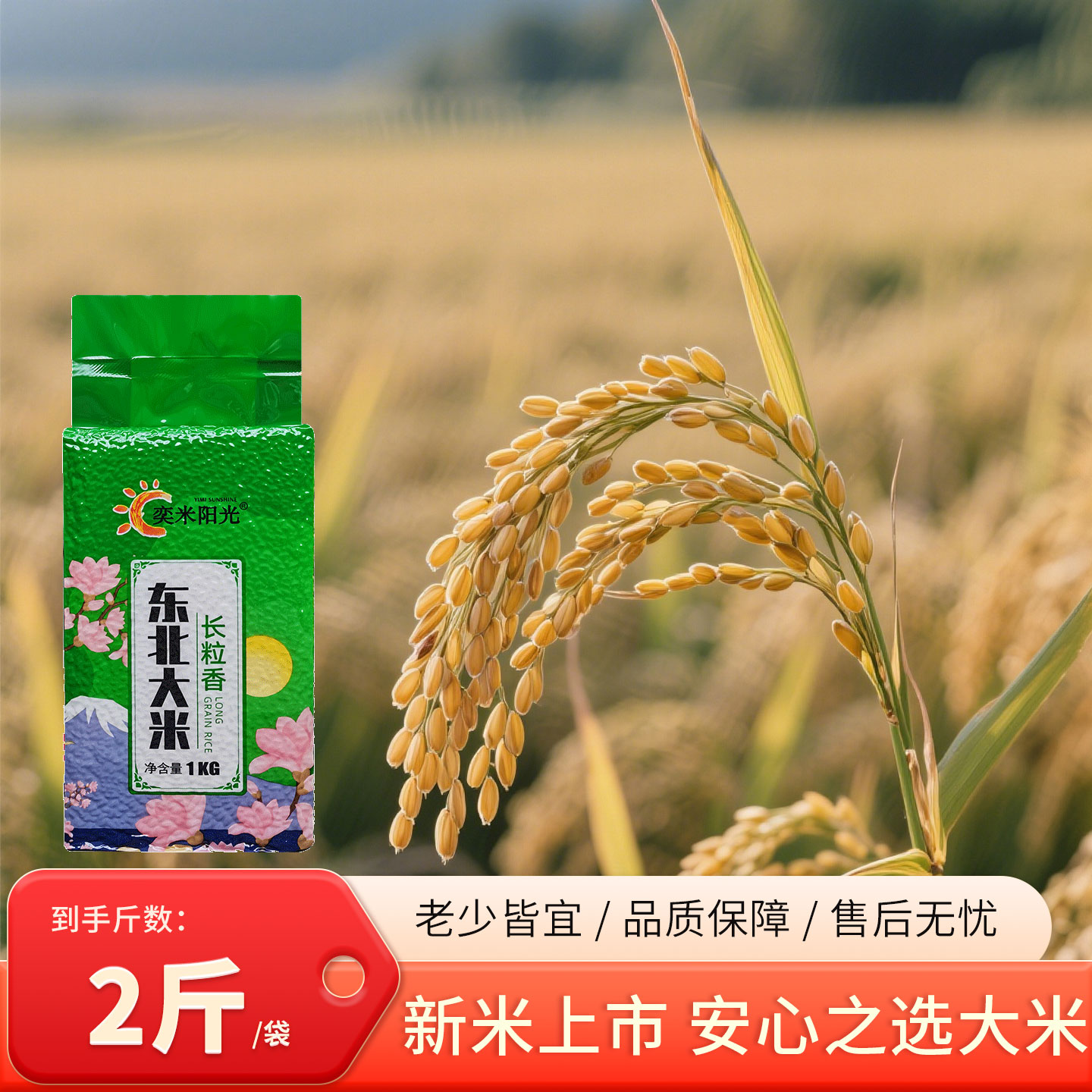 2025年当季新米东北长粒香大米2斤实惠装粳米农家自产珍珠米1kg