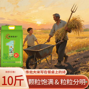 2024年?yáng)|北大米5kg產(chǎn)地發(fā)貨實(shí)惠裝 珍珠米口感軟糯東北珍珠米10斤