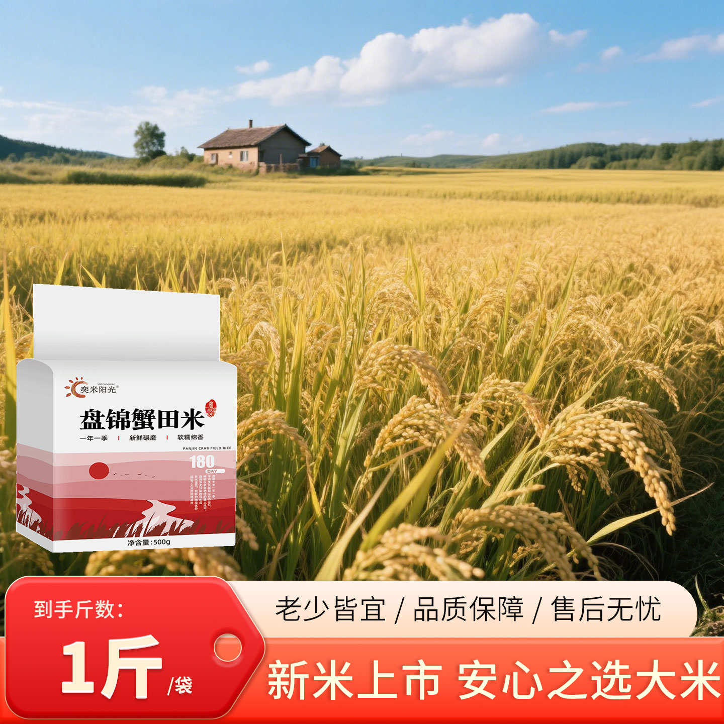奕米阳光2025年新米东北大米1斤真空装珍珠米家庭的信赖500g
