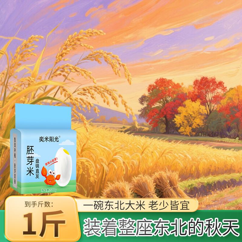 2025年新日期东北大米胚芽米1斤装珍珠米500g实惠当季新米真空装