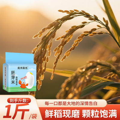 2025年新米东北胚芽米1斤真空装鲜稻现磨颗粒分明软糯香甜500g