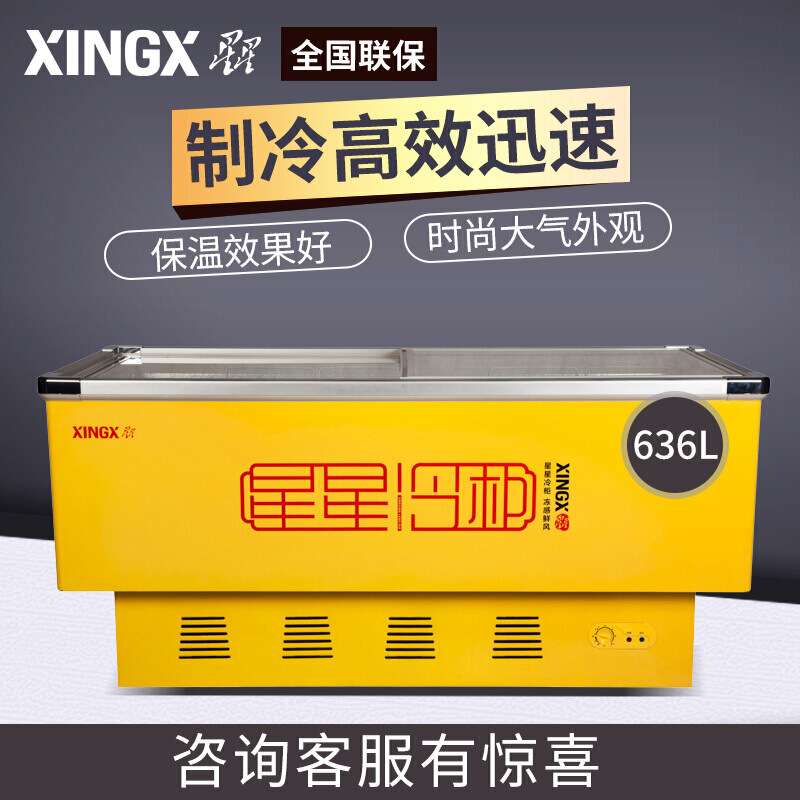 星星(XINGX)冷冻冰柜卧式冷柜 岛柜 商用冰柜市展示柜 SD-636BP