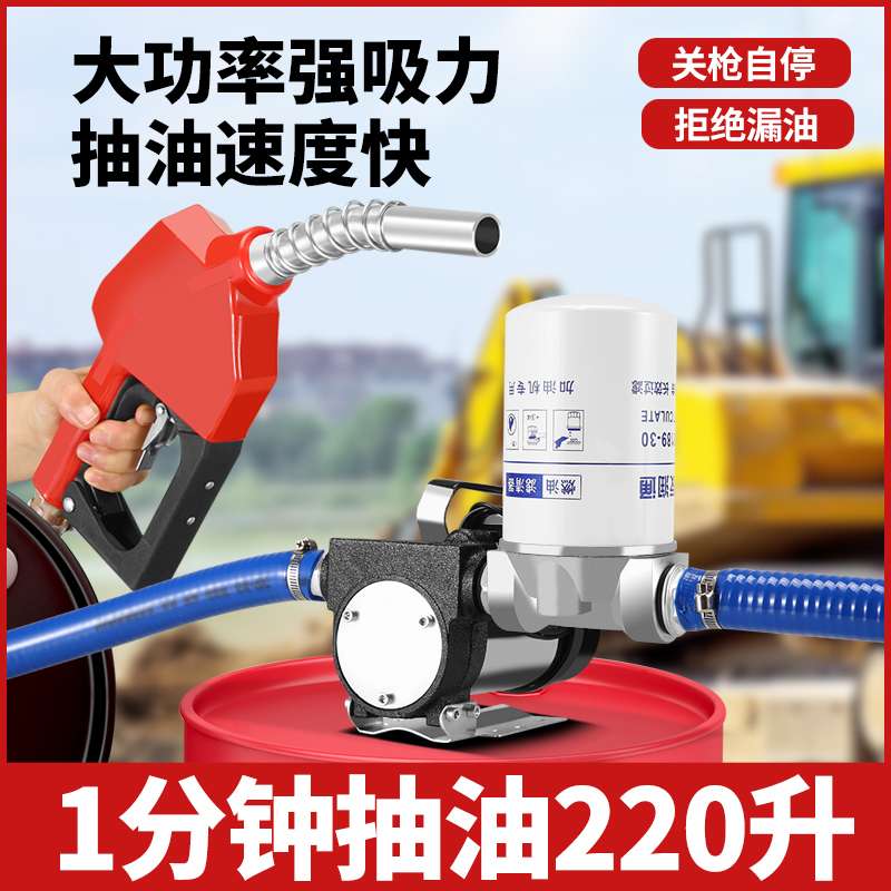 叶古电动抽油泵正反转12v24v220v柴油泵加油抽油机自吸泵加油