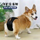 宠物狗狗生理裤 姨妈裤 柯基柴犬宠物经期月经防脱防交配生理期避孕