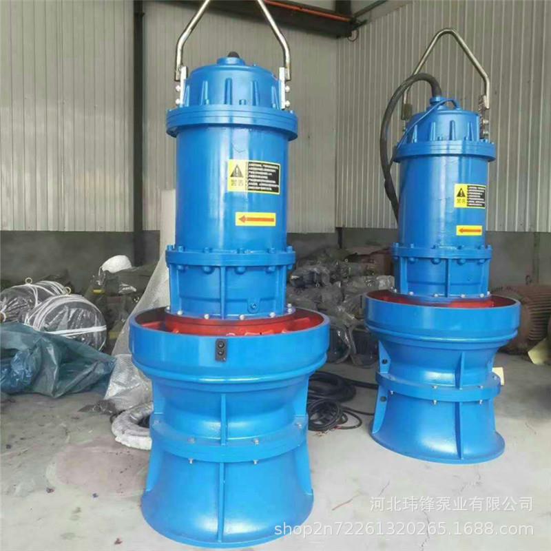 QZB型轴流潜水泵电站给排水农田排灌大流量潜水泵泵业