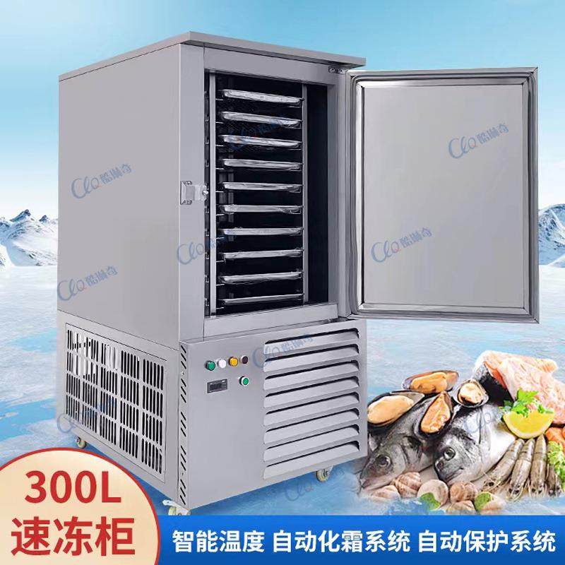 厂家直销现货300L11盘海参海产用速冻机包子水饺低温速冻柜直销,清洗/食品/商业设备,其他食品加工设备,淘宝优惠券,粉丝福利购,淘宝优惠卷