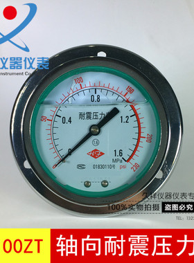 YN100ZT 1.6Mpa 耐震轴向带边压力表 耐震压力表 面板式压力表