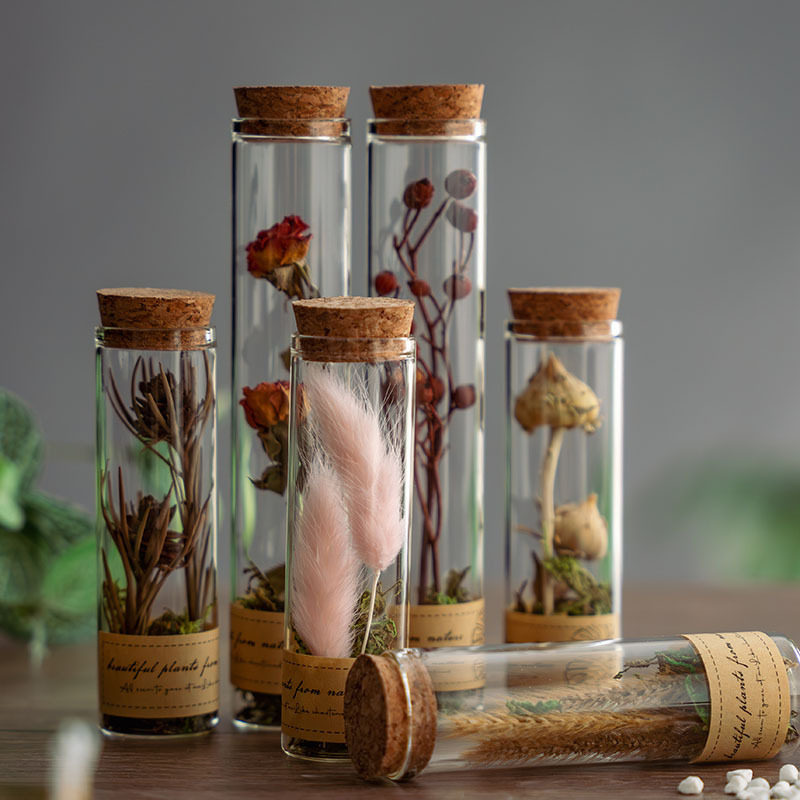 玻璃试管干花永生花植物标本创意