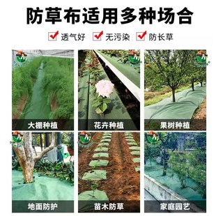 新型防草布除草布厂家直销绿黑遮草布透气保湿地布农用种植绿地膜