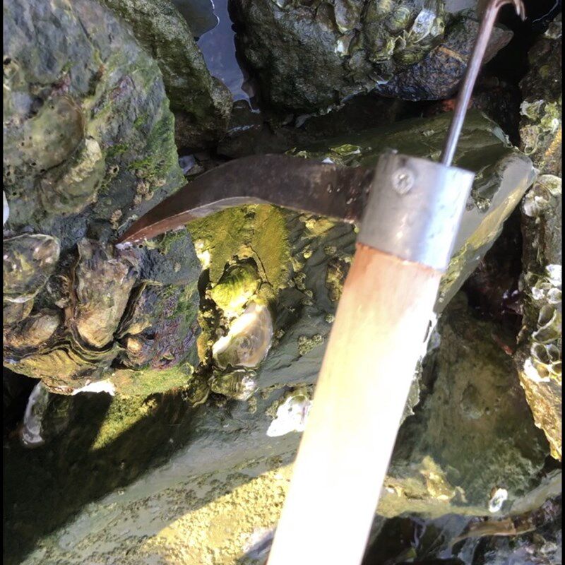 赶海工具蛎刀神器海蛎子钩锄头蛤蜊翘生蚝刨蛎肉洋镐蛏子蚬子