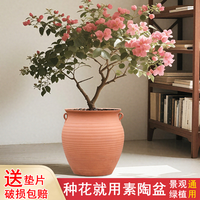 三角梅专用花盆绿植多肉植物