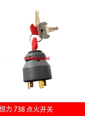 50017769 永恒力门锁 点火开关 永恒力T 738钥匙开关