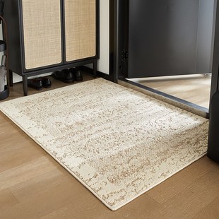 丙纶入户门地垫2025新款高级感玄关防水地毯进门口防滑室内脚垫子