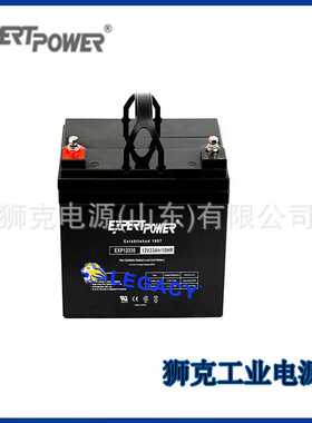 德国expertpower蓄电池EXP12330直流屏12V33AH仪器应急照明系统