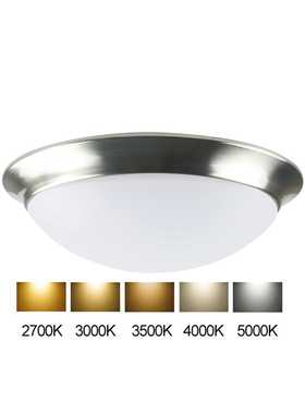 耐仕工厂价电镀色黑色LED吸顶灯11寸2700K-5000K五色温LED室内灯