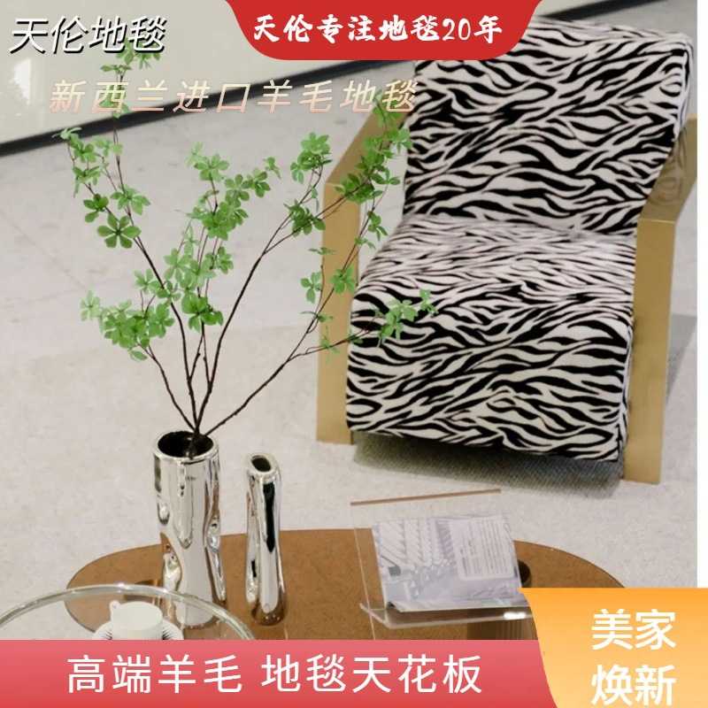 羊毛地毯极简客厅餐厅书房家用高级现代风新款易打理防水抗污地垫