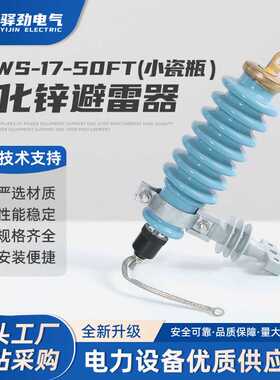 Y5WS-17/50FT(小瓷瓶）新型蓝色陶瓷氧化锌避雷器10KV免维护避雷