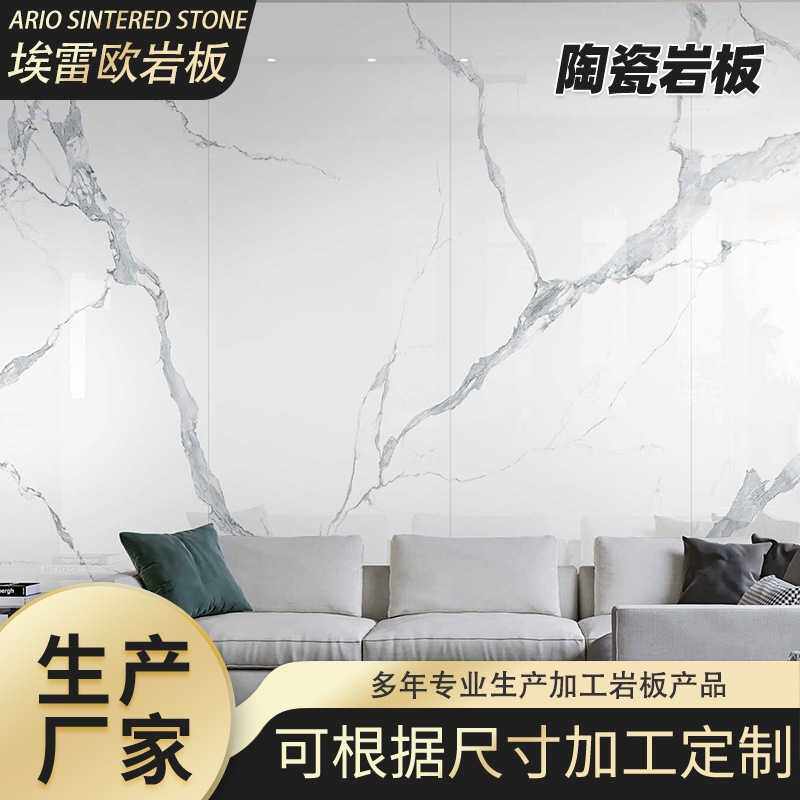 佛山 客厅大板地砖800x2600现代简约风通体瓷砖电视背景墙岩