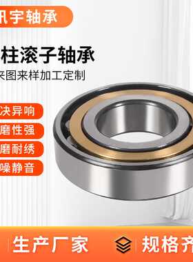 圆柱滚子轴承NJ219EM NJ220EM NJ222EM NJ224EM NJ226EM电机轴承