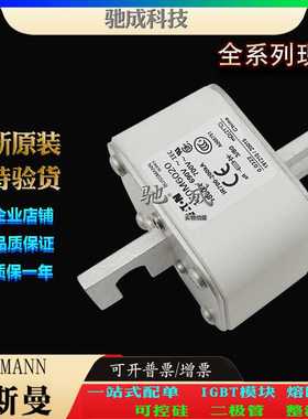 巴斯曼170M6020 170M6021 170M6028 厂家直供 零售 高速熔断器