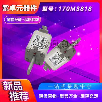 伊顿巴斯曼熔断器170M系列170M3688 170M3738保险丝现货供应