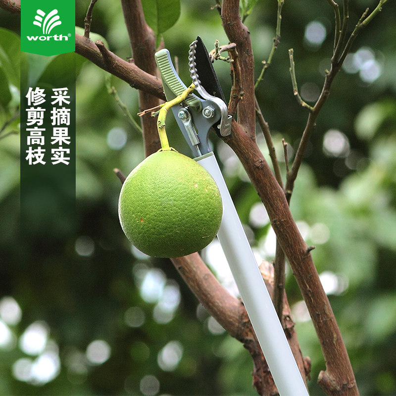 沃施worth 高枝采果剪刀 摘果器高枝剪高空采果剪琵琶荔枝摘果剪