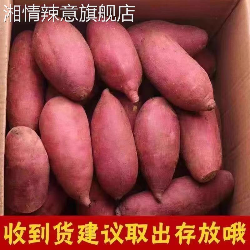 正宗陕西沙地板栗红薯新鲜农家自种黄心蜜薯香薯白心番薯糖心地瓜