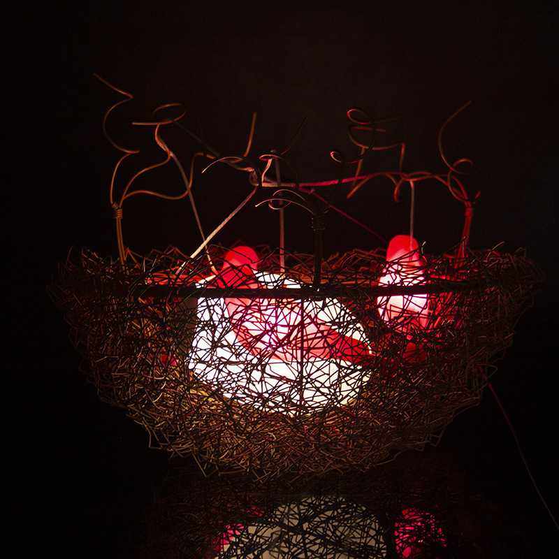 鸟窝灯鸟巢灯树木装饰景观灯铁艺装饰灯公园景区树木美陈亮化挂灯,鲜花速递/花卉仿真/绿植园艺,其它园艺用品,淘宝优惠券,粉丝福利购,淘宝优惠卷