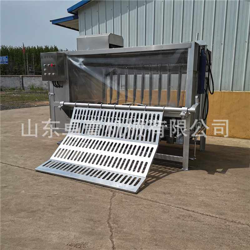 液压猪脱毛机全自动整猪脱毛机200型整猪打毛机不锈钢猪刨毛机器