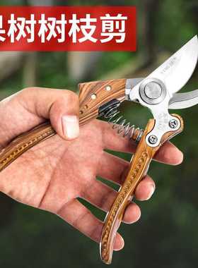 园林剪刀专业级果枝剪Pruning Shears锋利果树剪鸟嘴园林修枝剪